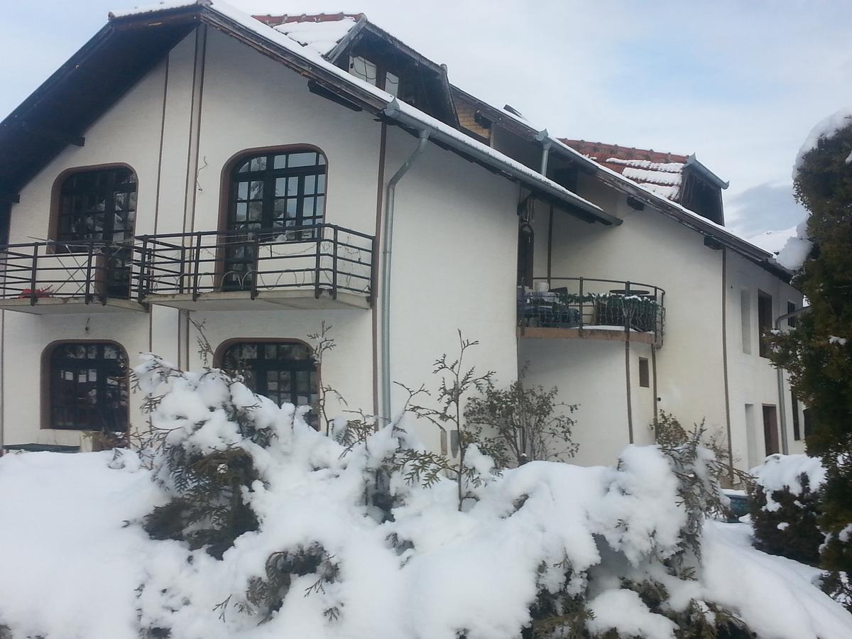 Vila Stojkovic Zlatibor Exterior foto